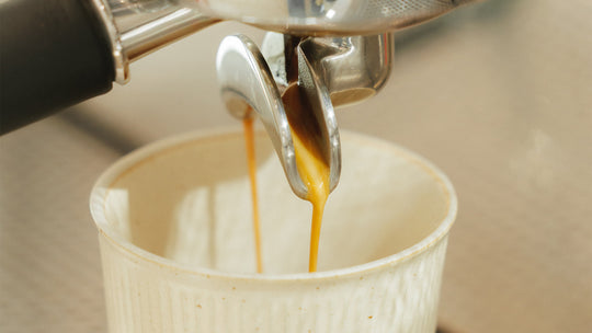 Specialty coffee espresso coffee extraction from portafilter