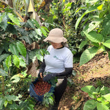 Altos de Saraguallas