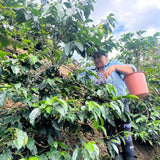 Altos de Saraguallas