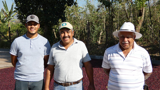 Guatemalan Coffee Farmers producing La Nueava Era coffee