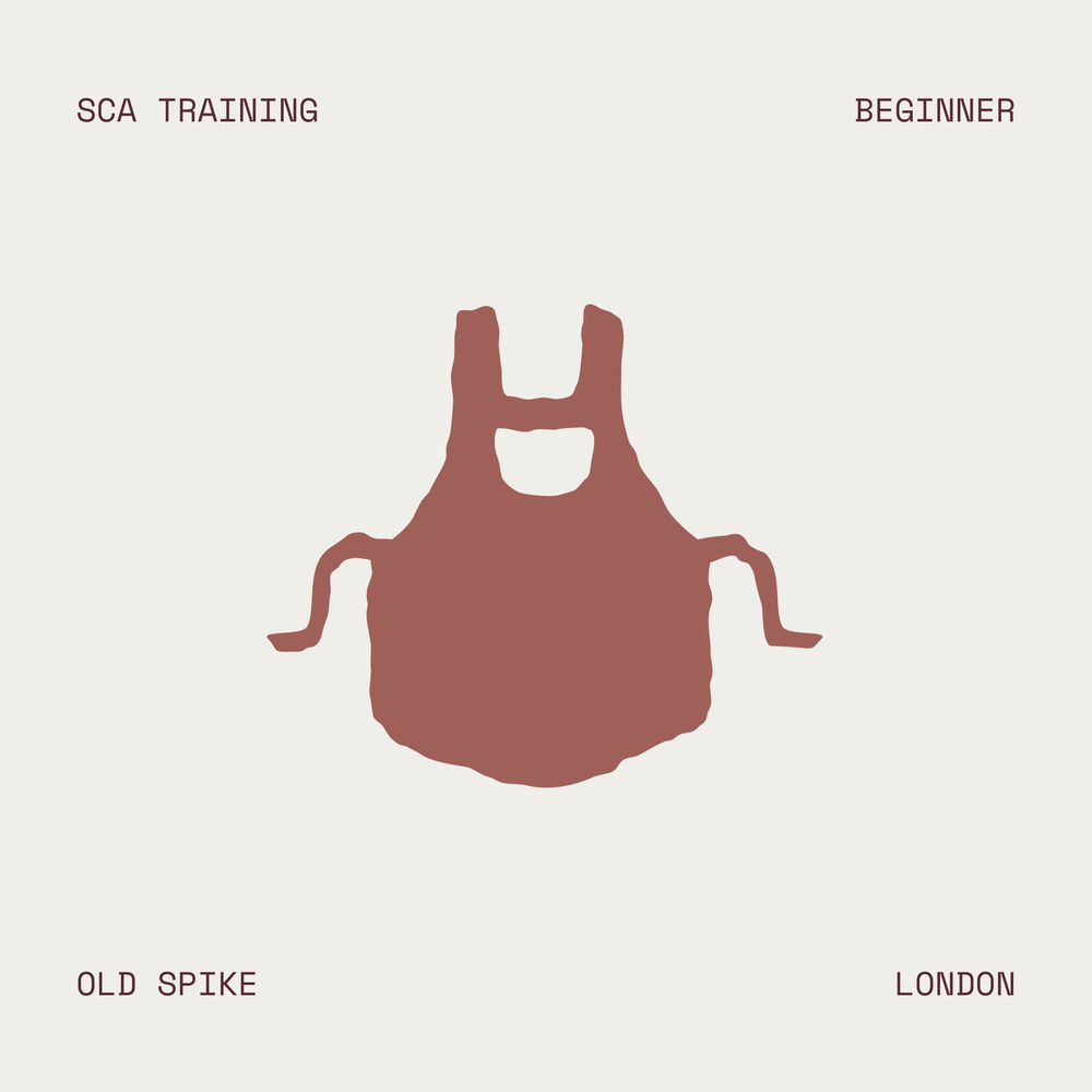 SCA Training – Beginner