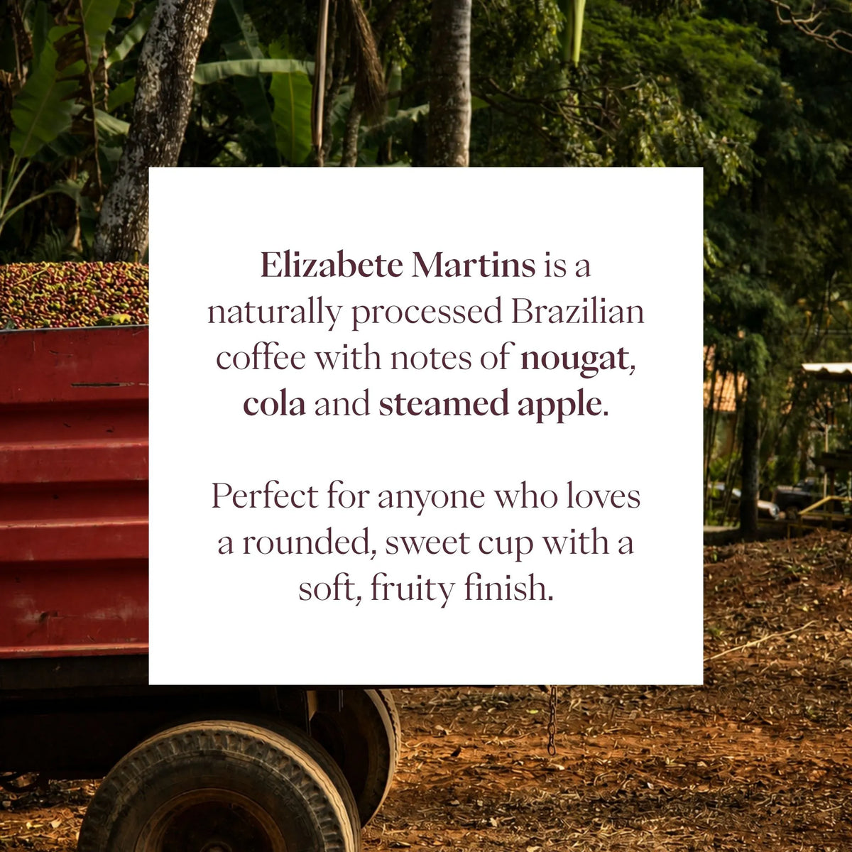 Elizabete Martins
