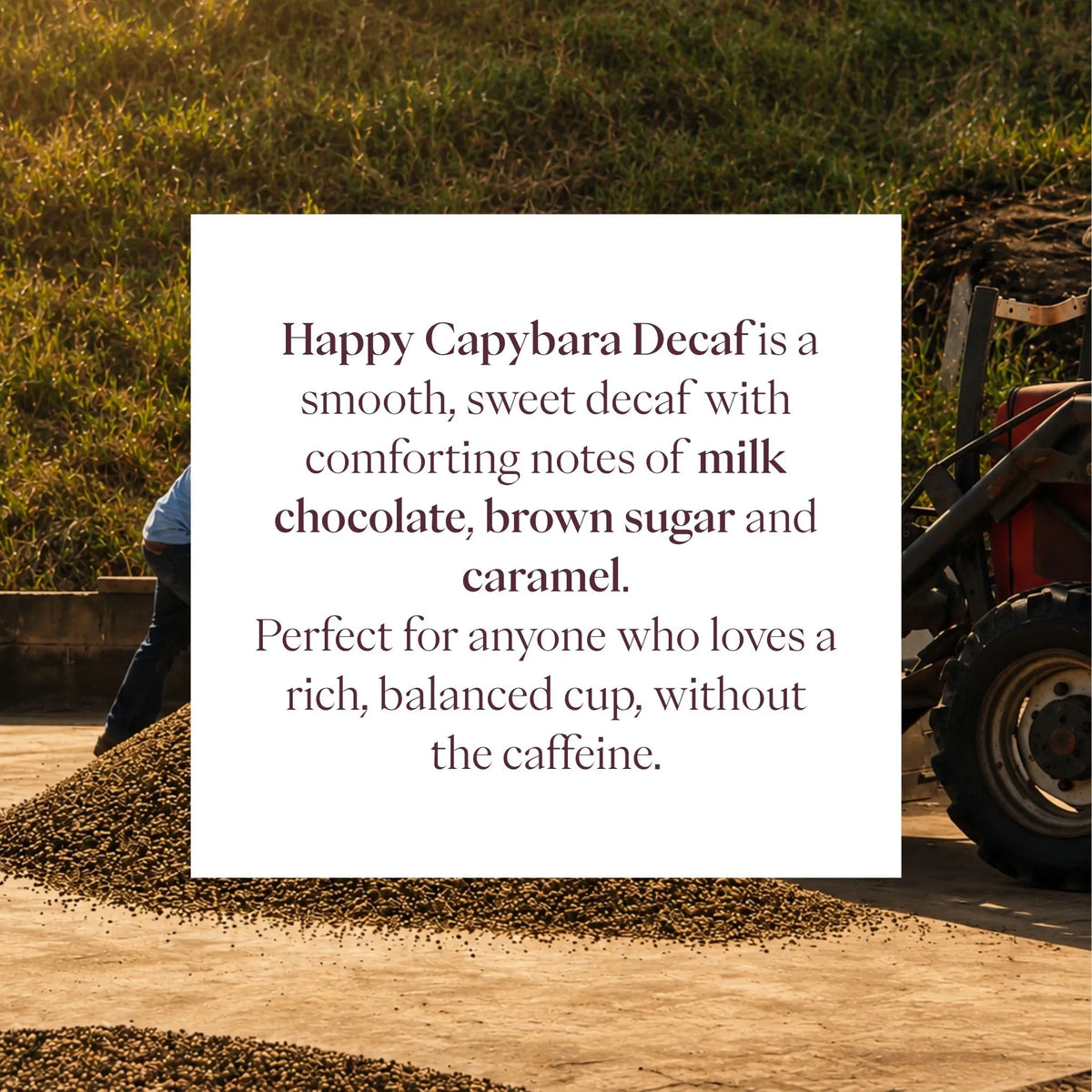 Happy Capybara Decaf