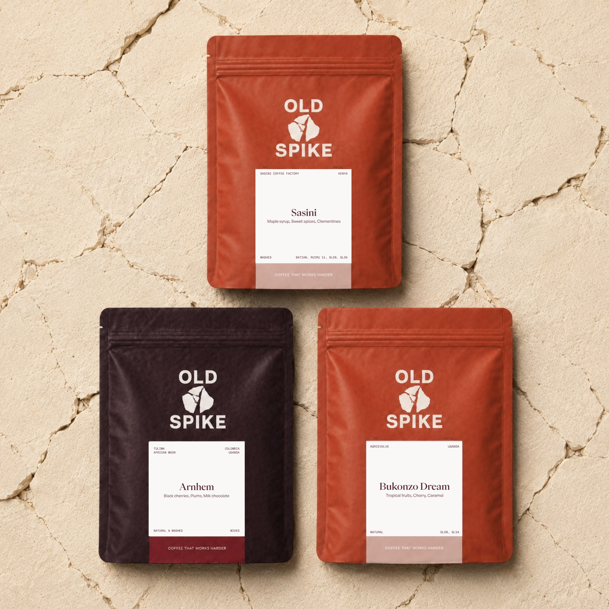 Coffee Explorer Bundle