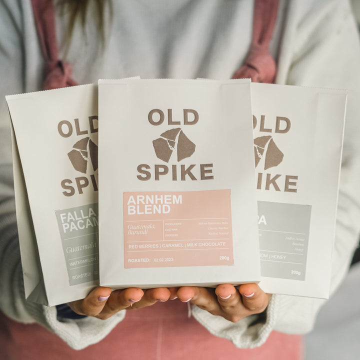 Old Spike Sustainable Specialty Coffee Bags in woman's hands